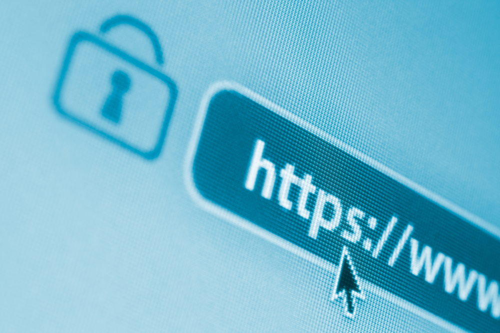 A web browser's URL bar with a padlock icon showing